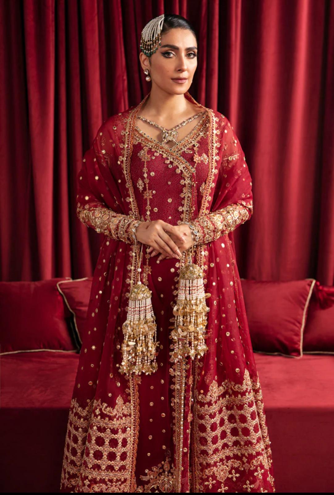 Hussain rehar (INSPIRED) ..3 pcs heavy embroidered net Maxi with soft organza duppatta…wedding/ Formal wear