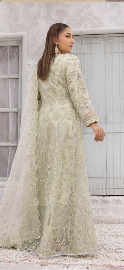 Vana By Simrans Heavy Jewellery Stone Work Embroidered Wedding Maxi – Mint Green Soft Organza (S–XL)