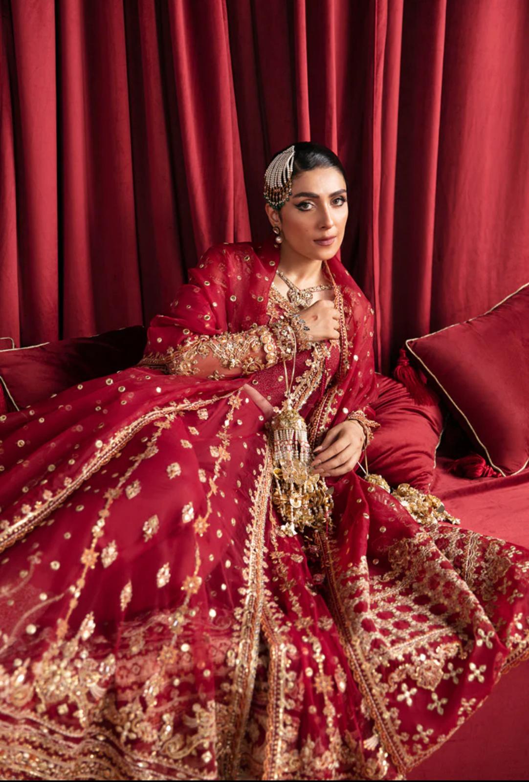 Hussain rehar (INSPIRED) ..3 pcs heavy embroidered net Maxi with soft organza duppatta…wedding/ Formal wear