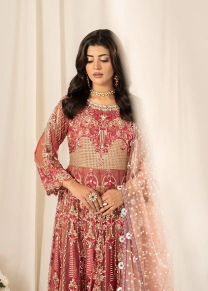 Heavy Embroided Net Fabric 3 Pcs Wedding Collection Maxi